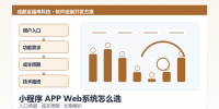 mini-program-vs-app-vs-web-system