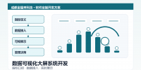 visual-dashboard-system-development